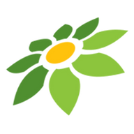LINK 4DSLOT